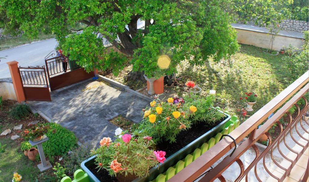 Apartmani Volga بيتريتْشاني المظهر الخارجي الصورة